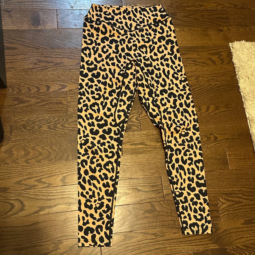 King Cheetah - Kingdom Collection